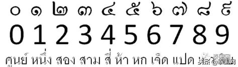泰國數字玄學 屬蛇年份